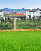   Tr񽨷f`    ׌r񽨷Ҏ(gu)ɞԸО飬TЇַeO̽Ҏ(gu)r񽨷;ڰԇcСҎ(gu)sr񽨷f