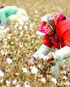 ؅f܆Tro    ءtǇ؞ȫһcЇϵyƸՈһ弉؅f܆TѱO(jin)ܵ|XLh(zhn)ѲO(jin)ܾWj