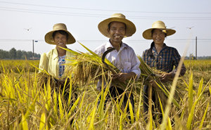 هYµġɽҪء    Ŀǰ,ʮӋɽҪء86ƽ³Ҏ(gu),ڡʮһ塱͡ʮ塱g,ʮߡɽҪء15f(ஔ100ƽ)نTQ³ǳɱ^ǧ|ԪҎ(gu)ģؾtnB(ti),ҰU_ɽؕKʹB(ti)r    @Щ,߷rѽطġؔԍSеİl(f)չ,һN·ه҂ԡ_l(f)Oеġه   YԴ޵,ڻյĽ,еİDɭֺƽؼt֮,ҲS҂߀ԓ鼃ꖹ՚ˮ,B(ti)xϵĸt@ǌcȻľη,Ҳl(f)չƌWl(f)չ}֮x