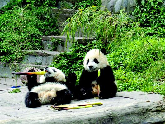 Ű̷{؈؈ÓŰ̷{؈صĹˆTBЇo؈оı̷{؃ȵĹˆT؈ȫD؈Mʳ