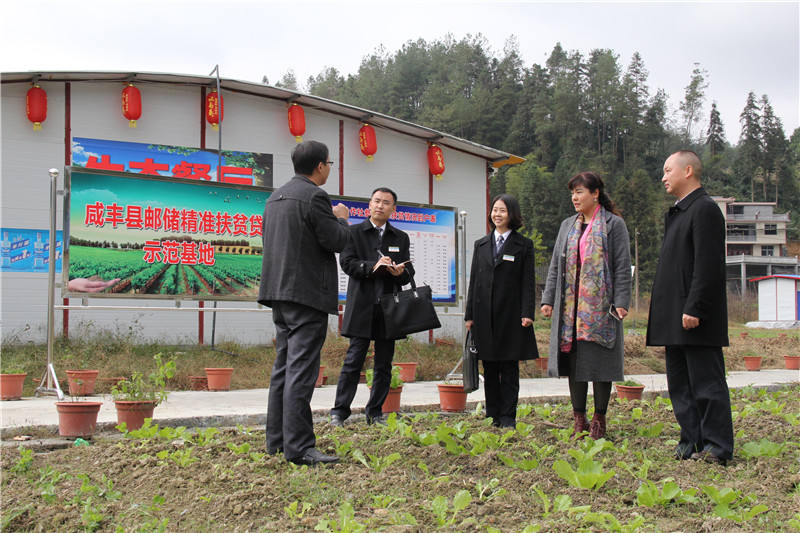 ](ch)ySh֧L(zhng)c۔nI(y)(lin)ؓ(f)؟(z)˗¾_(ki)չy󡰺QҊ(jin)