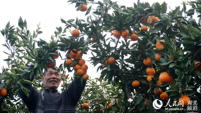 HҊCr(nng)I(y)İl(f)չr(nng)徫ʷؚһľW(wng)^ǰͨǽ֮ٴsLԓеһ(yu)|(zh)r(nng)I(y)B(yng)ֳӹI(y)䮔?sh)@~ӹ܇gһoHЩ߀ْM֦^و@ھoժb܇һvvMd܇v(jng)^Gɫͨ䮔\W(wng)тͨ^?sh)Փ΢ƽ_ѿĵĬF(xin)r(nng)I(y)Ҏ(gu)ģl(f)չĳɾչF(xin)ǰr(nng)徫ʷؚ