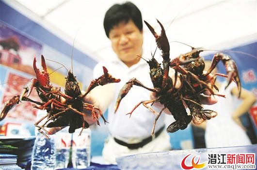 r׶   525գй댦(lin)jڱeСЇa(chn)hĹ¡o(c)Y(ji)(gu)Ըĸ}hҪvAʹ(ji)HMͿI(y)vAȼs400˷o(c)Y(ji)(gu)Ըĸںӌ`    ڡL(jng)Gɫl(f)չĹ¡С͌}ӑϣίӛSیСrµHvԓСo(c)Y(ji)(gu)Ըĸľʹ׌F(xin)e ýζ    СrҌAȲ[Ԕ]