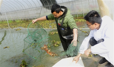  нY(ji)T rķ
  R˼FСrNxĹˆTڴ^СrLrԓĲ҃(ni)Sˮص5NģʽM˹TҎ(gu)ֳ깲(yu)|(zh)r500fβѱĴϼ߅؅^(q)ُ͑һ[Ԕ] 