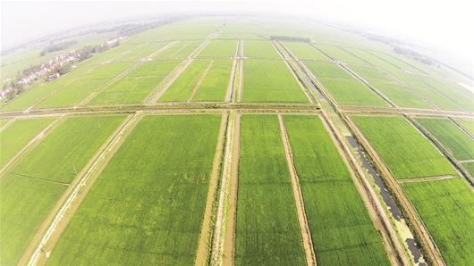 r Pl(xing)d 
ˮLrڵΣꐳˮl(xing)@Ұ`ӵĮ@ǝr(nng)ӌ(jng)^18̽(chung)ºͰl(f)չСra(chn)I(y)Ѵ󣬡һֻrһסɞ鮔(dng)?sh)،ʩl(xing)d(zhn)Եe
[Ԕ(x)]



