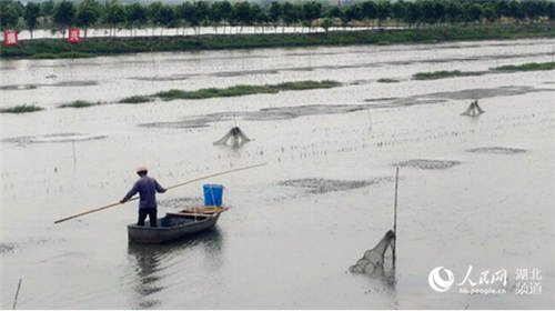   B(yng)r rٵ rʵ
  5µĝl(xing)S̎Ҋr(nng)ڏVҰgæµ峿Pܿ(zhn)wXһƬr߅64qRһ֧L峺r넝ȥ_ʼoСrͶ[Ԕ(x)] 