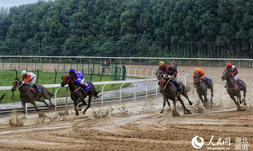 2019hٶِR_ِӭ(li)8(g)ِR