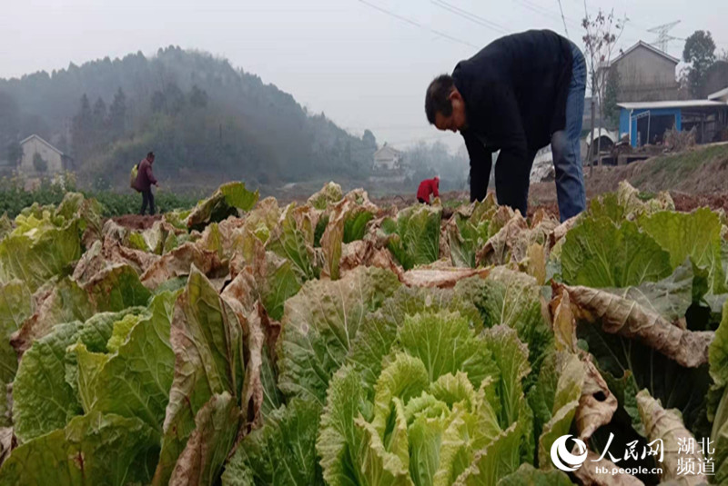 ˶ȫ塰(i)ĴײˡYԮhһ(xin)5