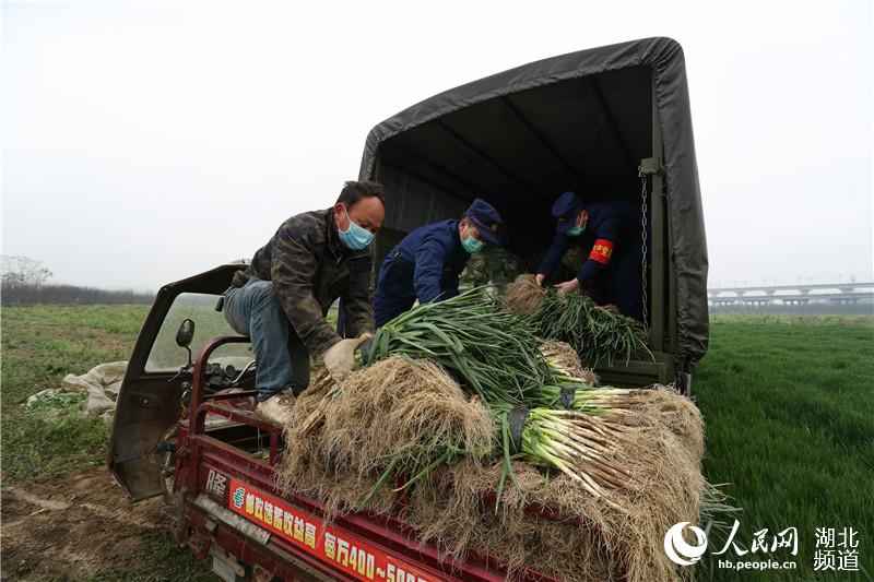 ͡{(ln)ѡ(i)܇(du)ָ(zhn)T\(yn)߲(zhn)I(xin)o^(q)KԽ z