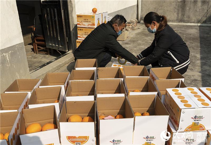 37whw(zhn)Ϫڴ(i)ĳ(ԣz)