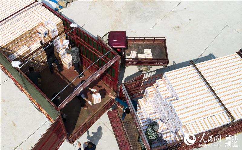 37whw(zhn)Ϫڞĳb܇(ԣz)