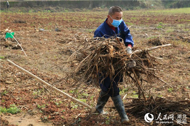 (zhn)r(nng)̎gsܽ܊ z