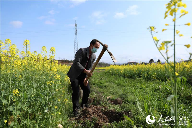 ·l(xing){Ӵr(nng)ڵA z