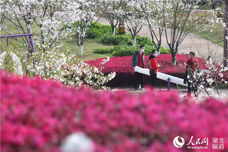 �������w����ԭ���ﾰ�^(q��)�_�@ӭ�͡�8��