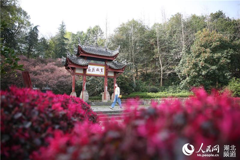 �������w����ԭ���ﾰ�^(q��)�_�@ӭ�͡�20��