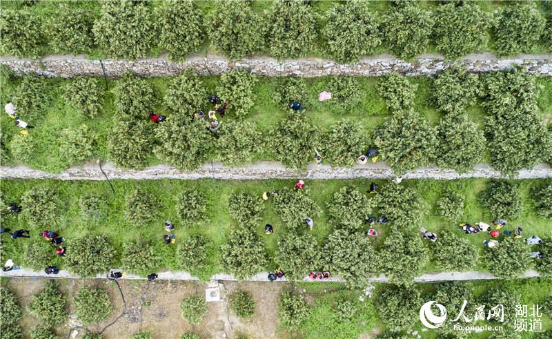 3��31�գ��ο������w�h���҉��(zh��n)��������Ě��ʾ���@��ժ����Ě�������o�˙C(j��)��Ƭ ����ԣ�z��