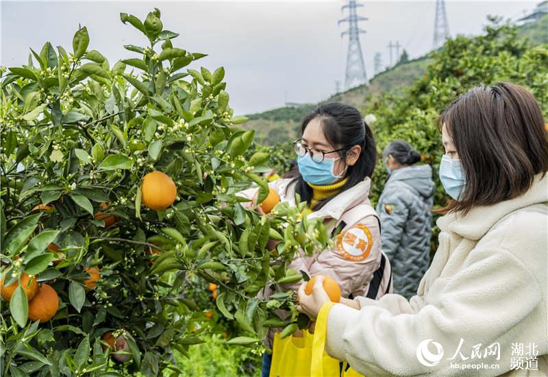 3��31�����ο������w�h���҉��(zh��n)��������Ě��ʾ���@��ժ����Ě����������ԣ�z��