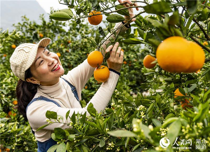 3��31�գ��ο������w�h���҉��(zh��n)��������Ě��ʾ���@���p����֦ͬ������t÷�z��