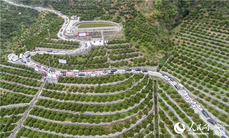 3��31�գ����{��ժ���ΈF(tu��n)܇�(du��)��M(j��n)���w�h���҉��(zh��n)��������Ě��ʾ���@�����o(w��)�˙C(j��)��Ƭ ����ԣ�z��