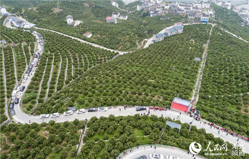 3��31�������{��ժ���ΈF܇���M���w�h���҉��(zh��n)��������Ě��ʾ���@�����o�˙C��Ƭ ����ԣ�z��