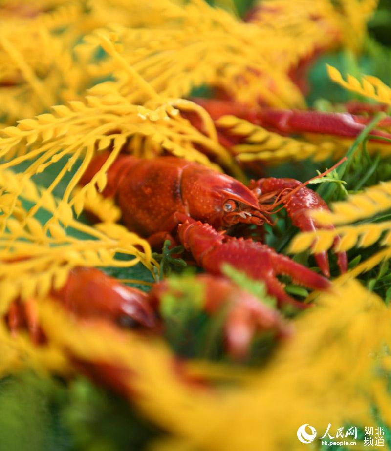 e2020ʡСrِܴ܊ z