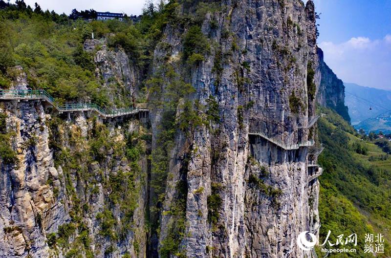 ʩ{Ⱦ^(q)־(qing) z