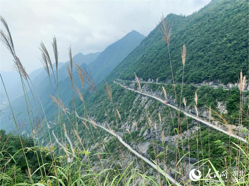 ڒ·񎧰ѱPڳɽXgwͫ z