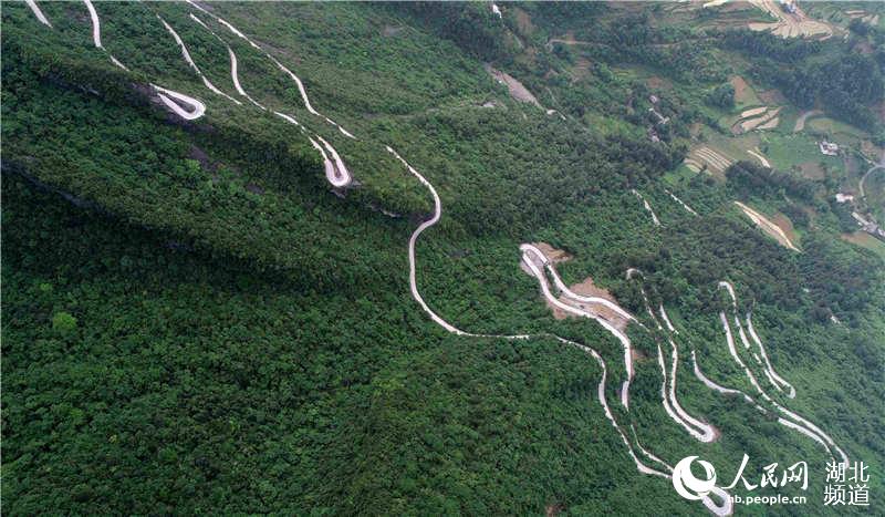 ʩݶʩl(xing)pľpӴľ@壩·¶hLs5Ĺ·ڑ½^ϡcĿȥU˂Q顰·ا z