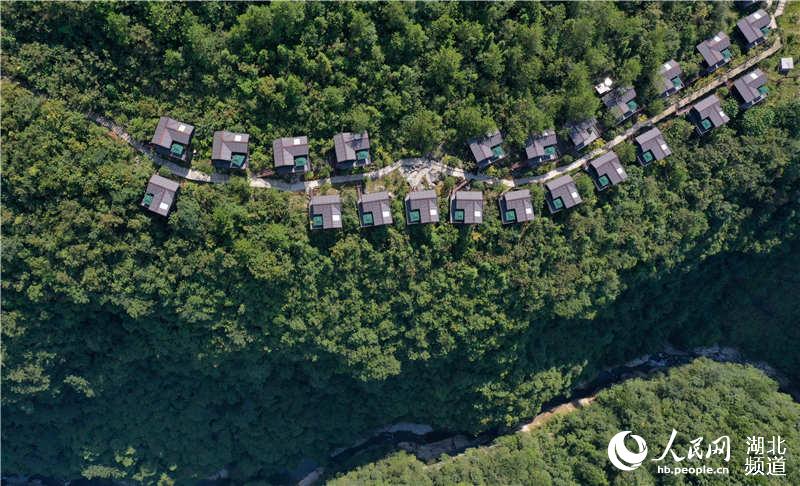 ʩݽʼhƺĹȵđ¾Ƶا z