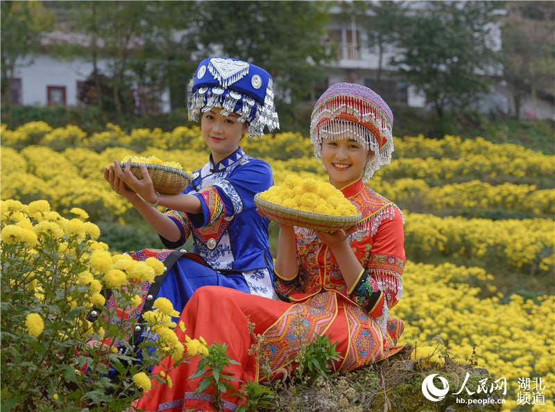 ʩݽʼhʾվM(mn)@ʼhzӰ҅f(xi)(hu)Ĕz