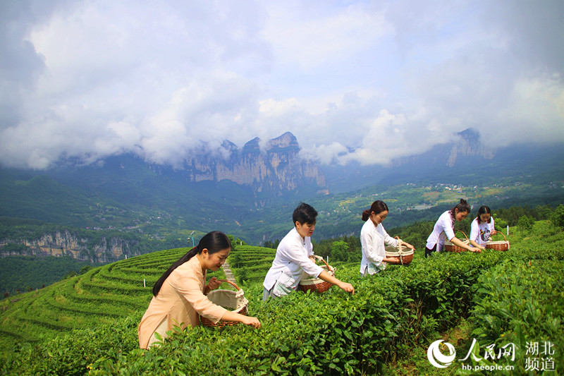 ʩͱl(xing)RߴB(ti)@(ni)r(nng)ڲժ