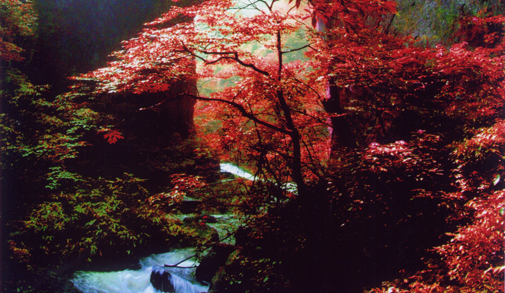 咸豐坪壩營 國家AAAA級景區(qū)