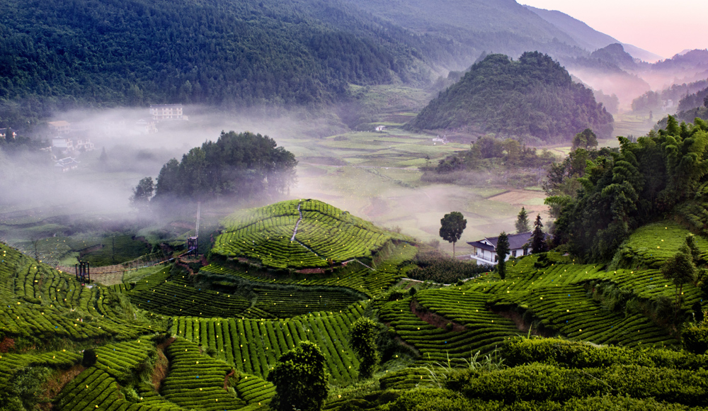 宣恩伍家臺(tái)貢茶文化旅游區(qū) 國家AAAA級景區(qū)