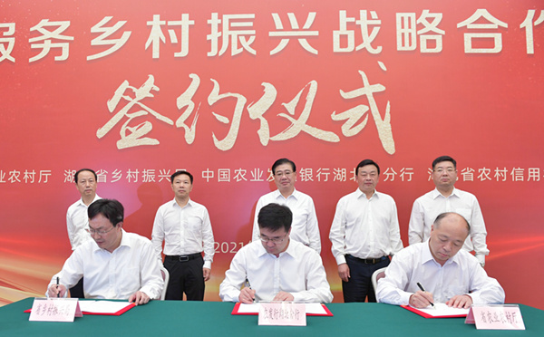 5(ni)Ͷl(xing)dJ6000|Ԫ