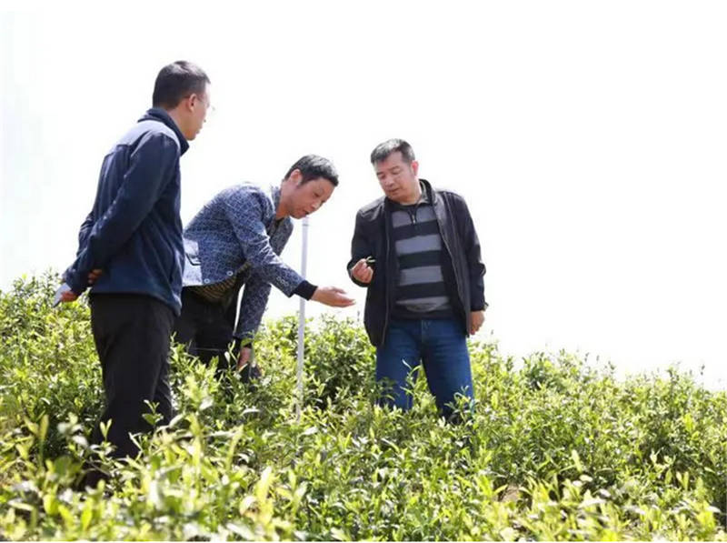 ^(q)O(sh)Ոҵg^c̽ӑNֲg(sh)\z