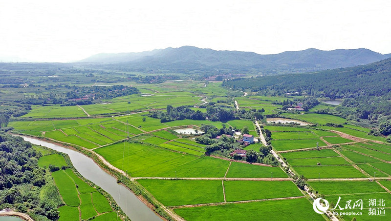 ɽһס ك|a(chn)I(y)Ⱥ