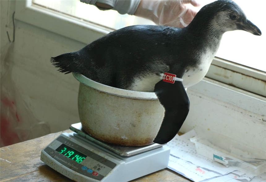 h(dng)@ϭh(hun)Zh(dng)@D