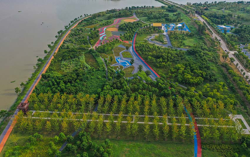 810h(yng)~(y)ޡ