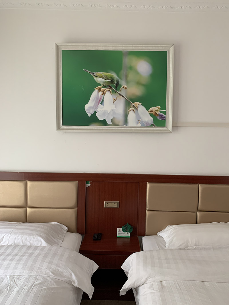 美麗的風(fēng)景畫也是加熱板。張家廣攝