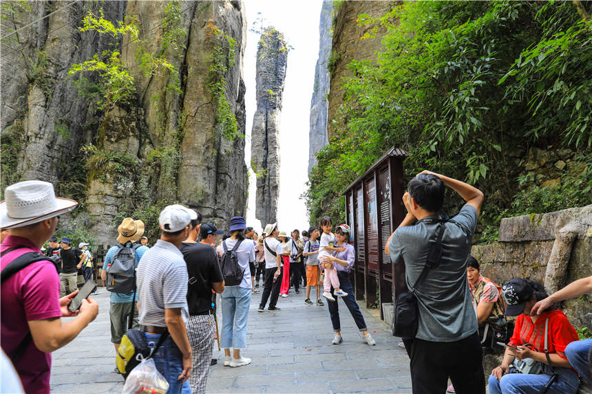 一炷香景點游客有序觀景