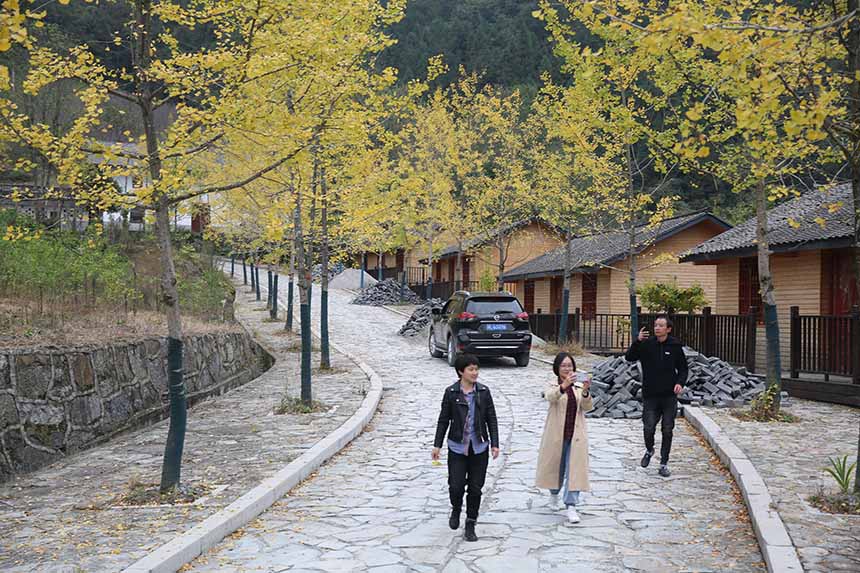 SySl(xing)^pΌϲz