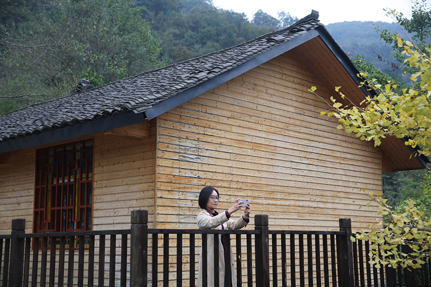 SySl(xing)^pΌϲz