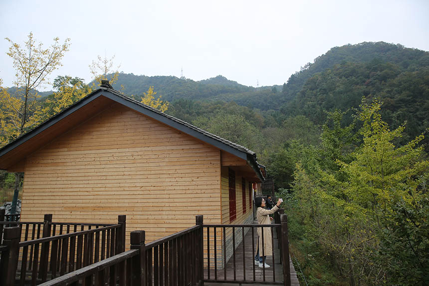 SySl(xing)^pΌϲz