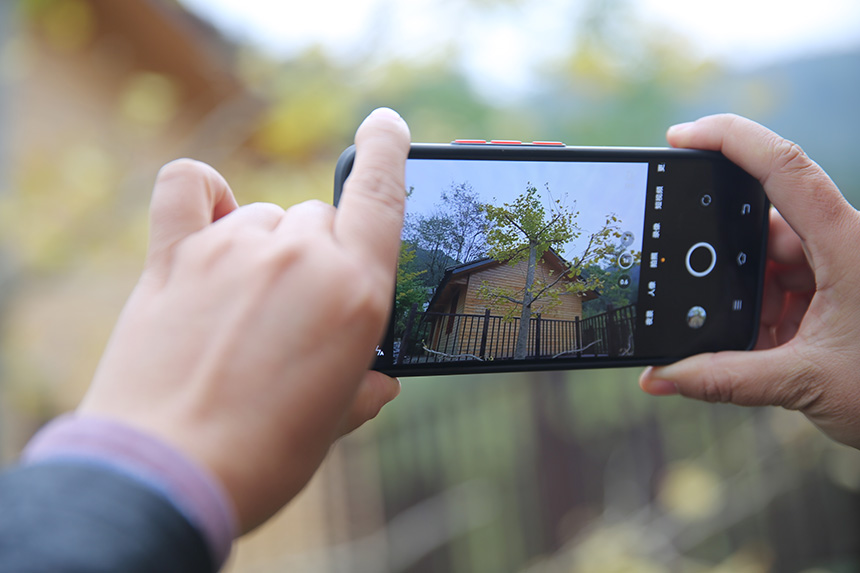 SySl(xing)^pΌϲz