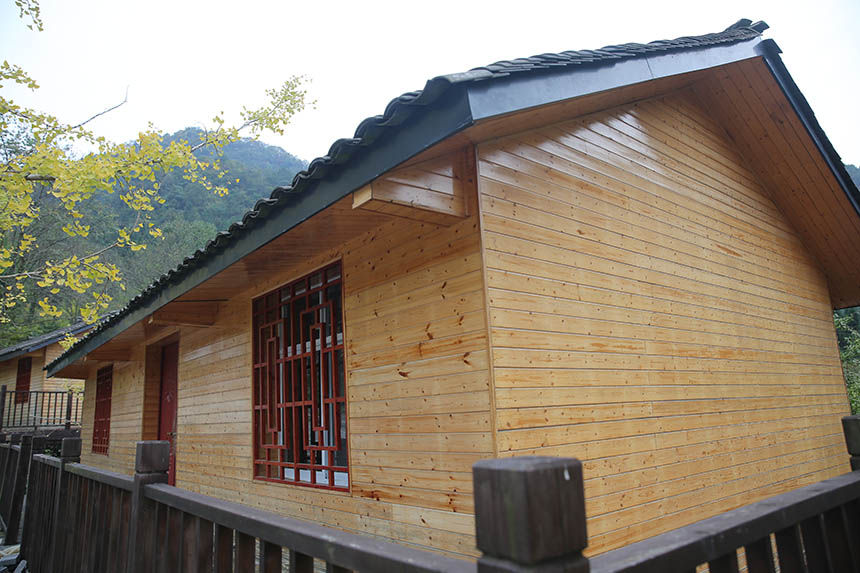 SySl(xing)^pΌϲz