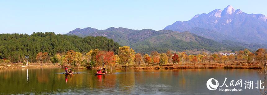 湖北羅田:紅葉展露絕美秋韻【2】