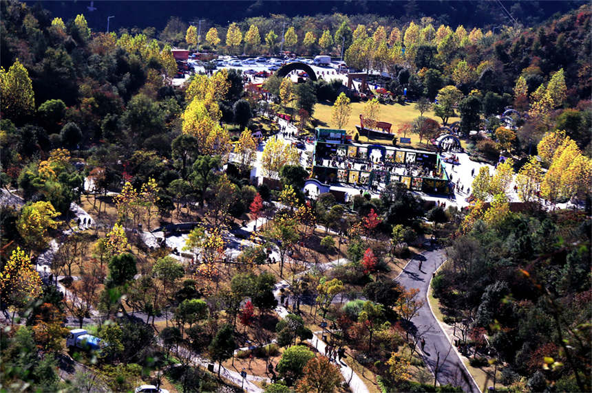 湖北十堰:“城市綠肺”秋色怡人