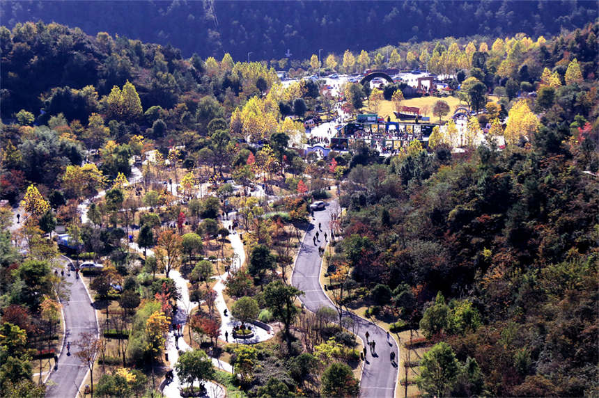 湖北十堰:“城市綠肺”秋色怡人【3】