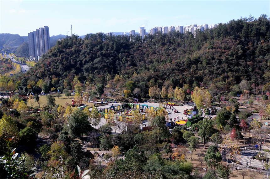 湖北十堰:“城市綠肺”秋色怡人【4】