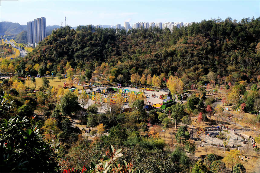 湖北十堰:“城市綠肺”秋色怡人【2】